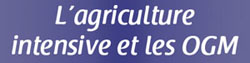 L'agriculture intensive et les OGM